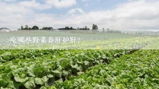 吃哪些野菜养肝护肝?