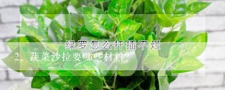 蔬菜沙拉要哪些材料？