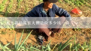 无土栽培温室大棚造价多少钱一亩