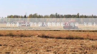 高分求：小学生用人教版新起点英语一年级上册磁带的