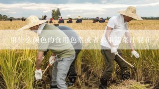 用什么颜色的食用色素或者水果蔬菜汁混在一起可以调出天蓝色?