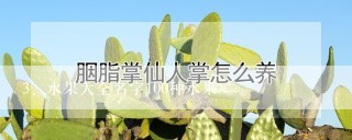 水果大全名字100种水果