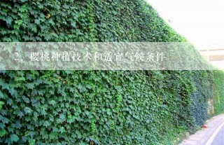 樱桃种植技术和适宜气候条件