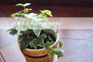 尿路感染10分钟解决方法？