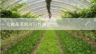 大棚蔬菜的可行性报告