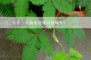 小学三年级英语单词有哪些？