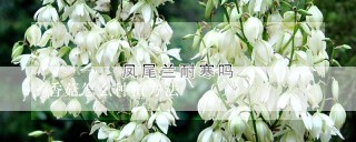 香菇怎么种植方法