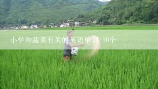 小学和蔬菜有关的英语单词 10个