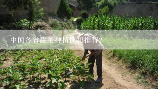 中国各省蔬菜种植面积排行？