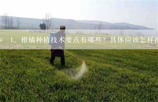 柑橘种植技术要点有哪些？具体应该怎样操作呢？