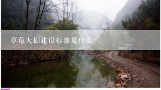 草莓大棚建设标准是什么？