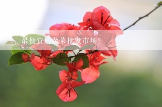 最便宜的蔬菜批发市场？