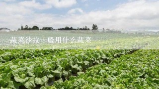 蔬菜沙拉一般用什么蔬菜