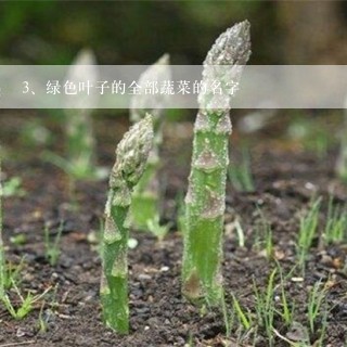 绿色叶子的全部蔬菜的名字