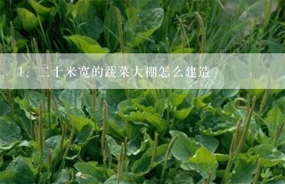 二十米宽的蔬菜大棚怎么建造