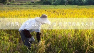 求视频:中央七套农广天地 新型能源蔬菜大棚 设计原理、设计规格及选材