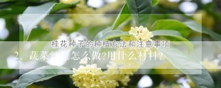 蔬菜沙拉怎么做?用什么材料?