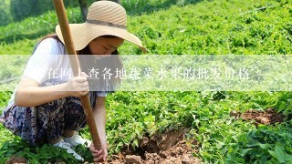 怎样在网上查各地蔬菜水果的批发价格