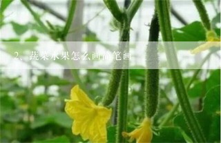 蔬菜水果怎么画简笔画