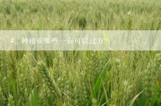 种植业哪些一亩可以过万？