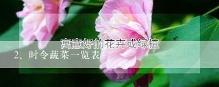 时令蔬菜一览表