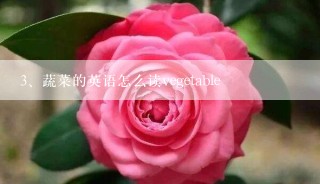 蔬菜的英语怎么读vegetable