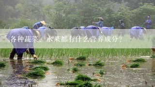 各种蔬菜、水果都有什么营养成分？