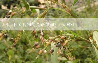 有关食物的英语单词？（20个）