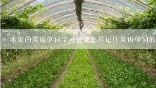 水果的英语单词学习视频怎样记住英语单词的意思