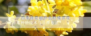 香瓜种植技术与管理方法