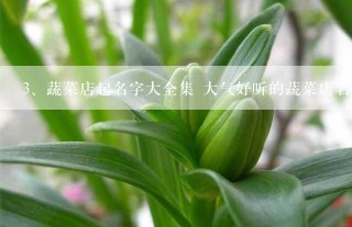 蔬菜店起名字大全集 大气好听的蔬菜店名