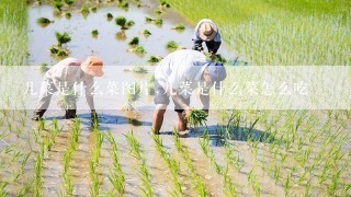 儿菜是什么菜图片,儿菜是什么菜怎么吃