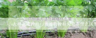 大棚蔬菜种植与普通的种植究竟有什么区别？