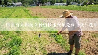 哪里有大棚蔬菜种植技术视频免费下载？蔬菜种类有黄瓜西红柿等。