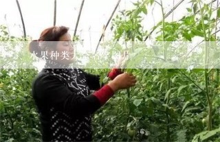 水果种类大全名字图片