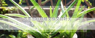 秋天的时令蔬菜有哪些(秋季时令菜有哪些菜品)