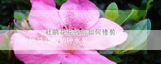 含钙量高的10种水果