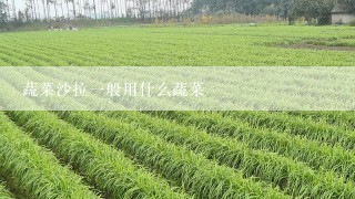 蔬菜沙拉一般用什么蔬菜