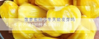 水果名字100种水果图片