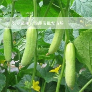 长沙最便宜的蔬菜批发市场