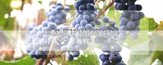 菌子图片大全及名称