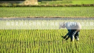 湘菜菜谱大全带图片干锅系列干锅鸡块怎么做更好吃