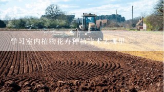 学习室内植物花卉种植技术去哪里