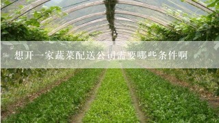 想开一家蔬菜配送公司需要哪些条件啊