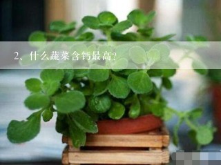 什么蔬菜含钙最高？