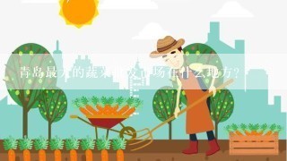 青岛最大的蔬菜批发市场在什么地方？