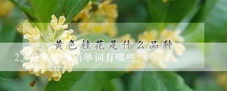 蔬菜的英语单词有哪些?