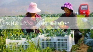 农村常见的二十五种野菜有哪些？