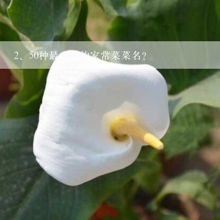 50种最常吃的家常菜菜名？