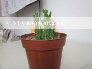 冬季大棚适合种植什么蔬菜？